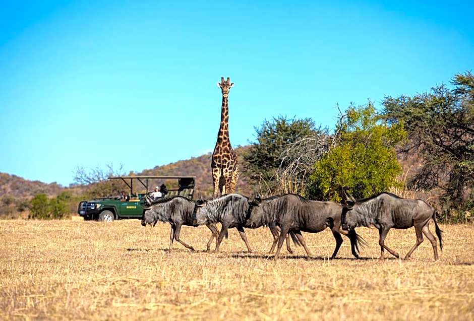 Mabula Game Lodge