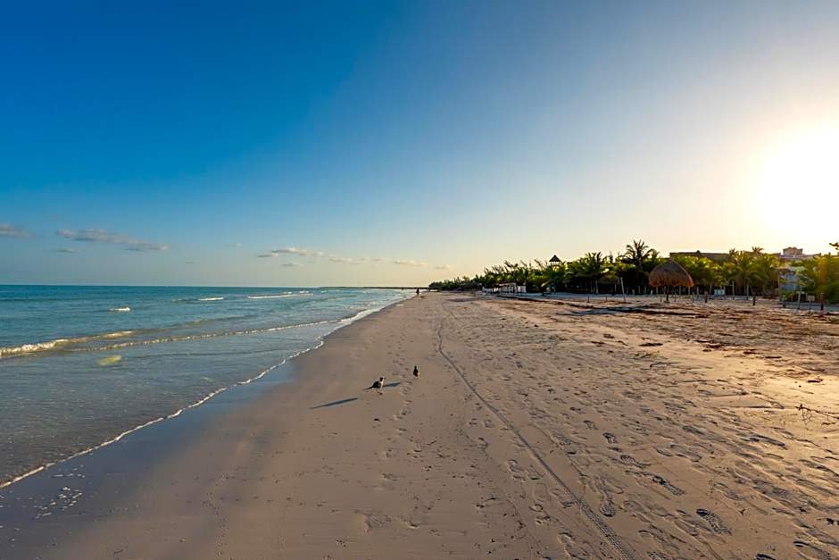 My Blue Hotel Holbox
