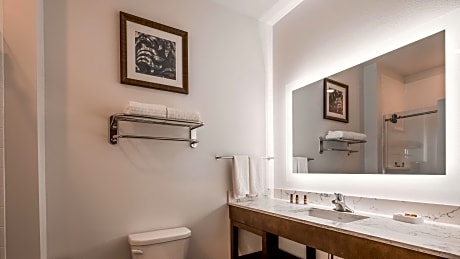 2 QUEEN BEDS,NSMK,FULL KITCHEN,PILLOWTOP BD,HISPD NET,FULL BREAKFAST