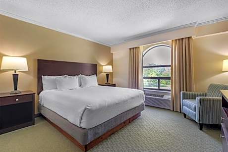 Best Western Davison Inn
