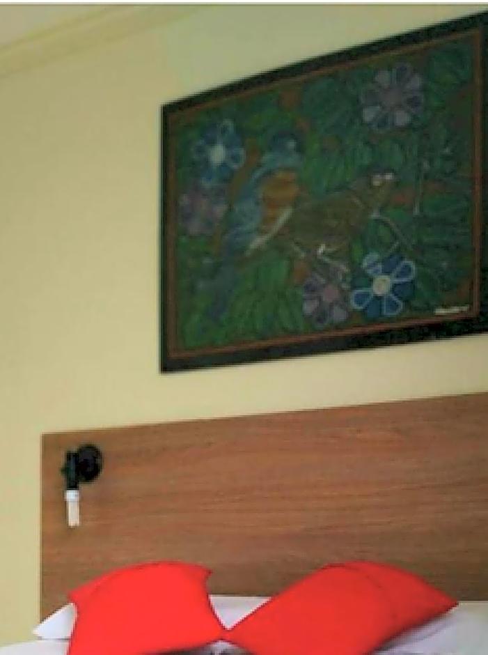 Central Hotel Manaus