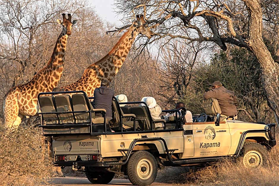 Kapama Southern Camp