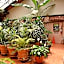 Hotel San Luis