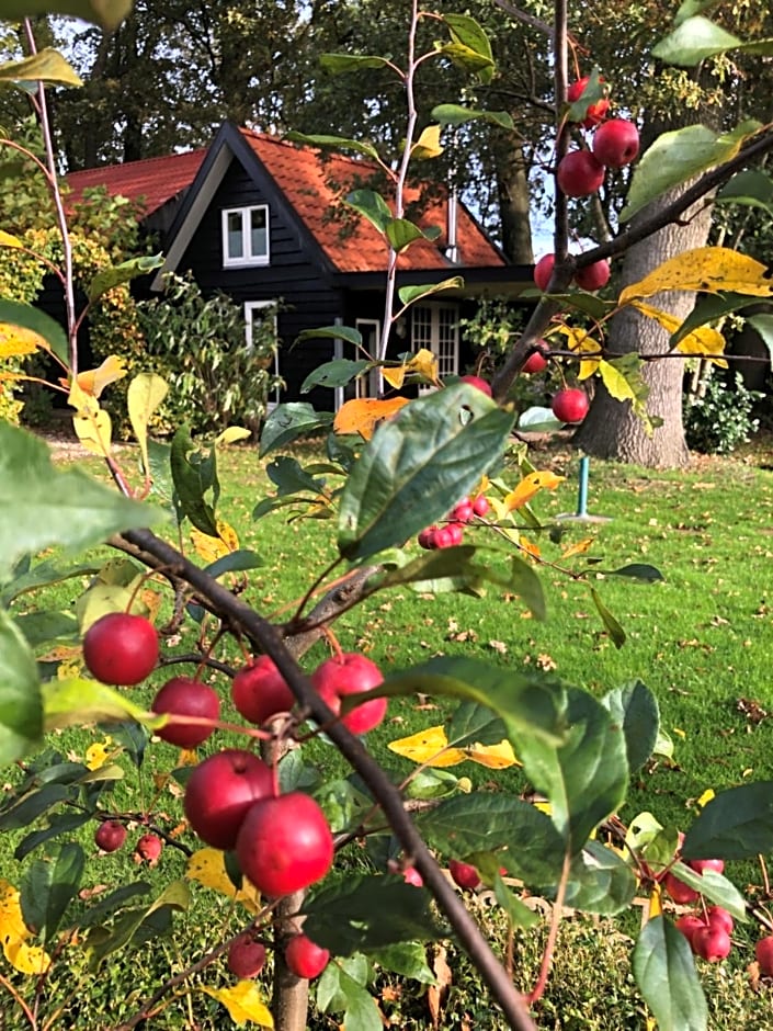 B&B de Tuinfluiter