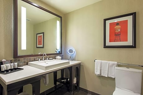 Suite King Bed One Bedroom 