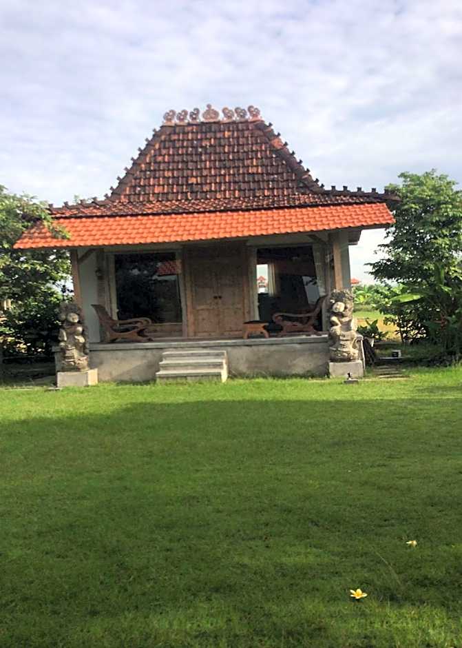 Bali Eco Living Yoga Healing Meditation and Retreat Center