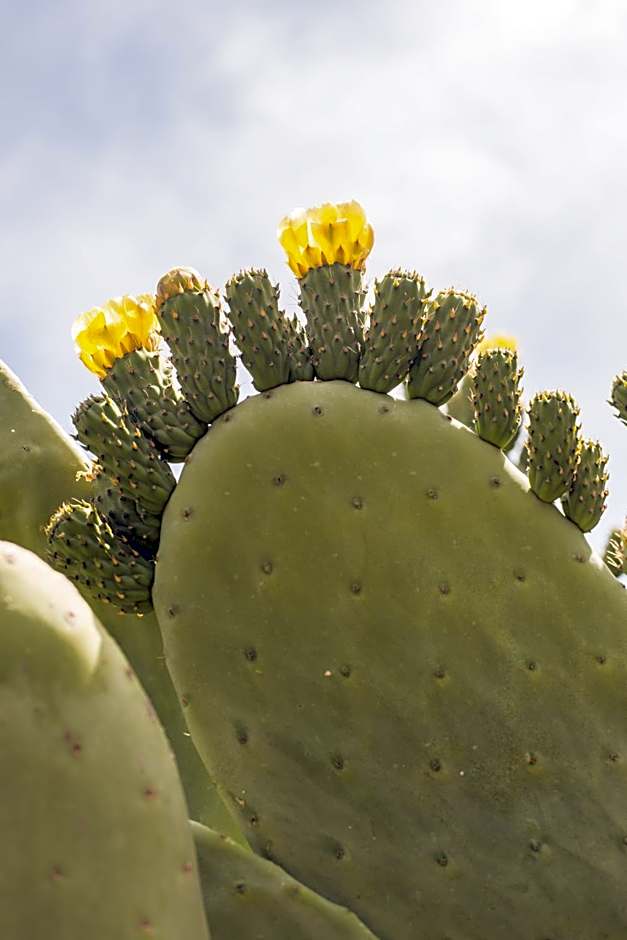 Likya Yolu Palas Hotel