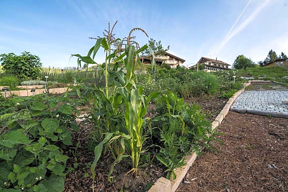 Kräuterhotel Edelweiss