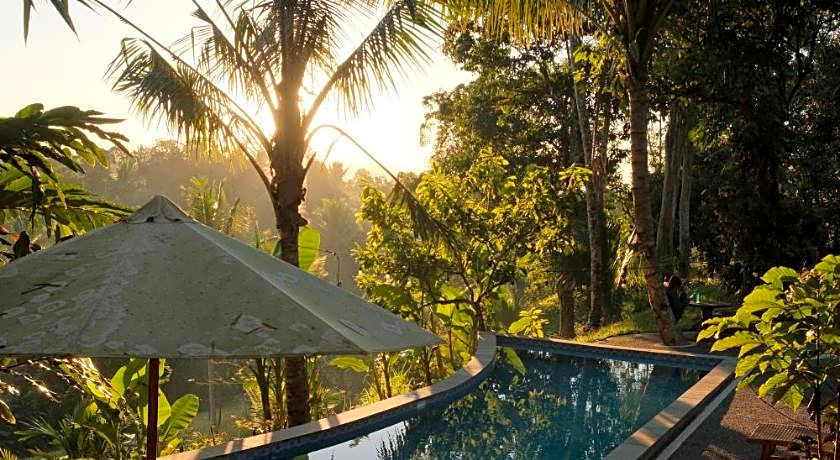 Saridevi Ecolodge
