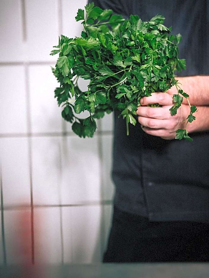 Simon - das Vitalhotel