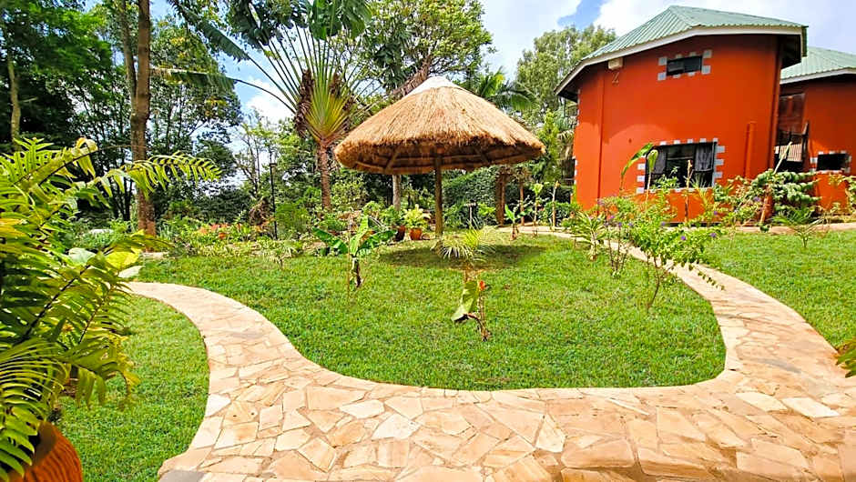 Africa Safari Arusha