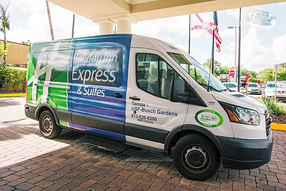 Holiday Inn Express Hotel & Suites Tampa-USF-Busch Gardens By IHG