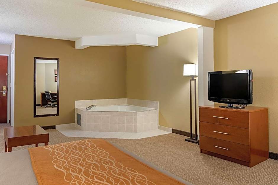 Comfort Inn & Suites Suwanee - Sugarloaf