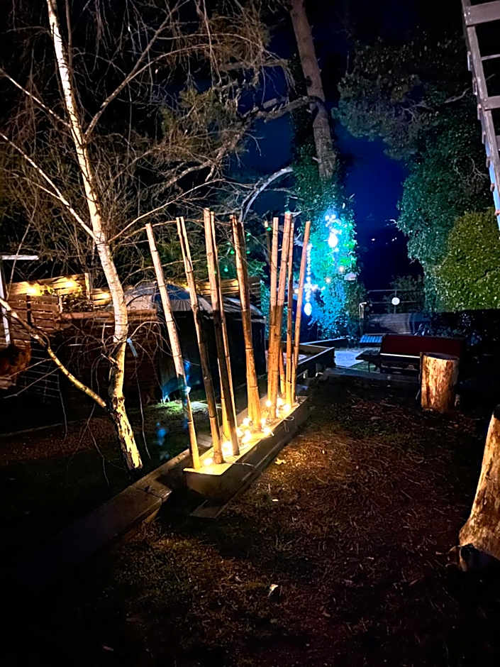 Flying Fox Backpackers