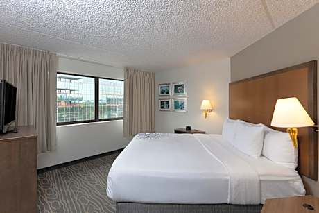 One-Bedroom King Suite - Non-Smoking