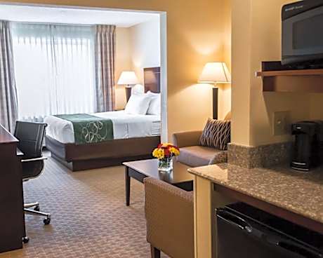 Comfort Suites University Area Notre Dame-South Bend