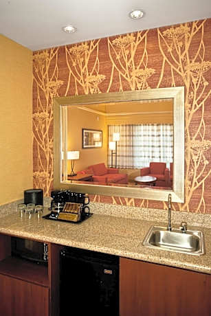 1 Bedroom 2 room Suite, 1 King, Sofa bed