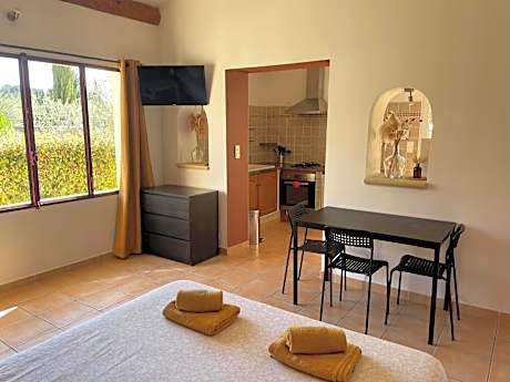 Studio with Pool View