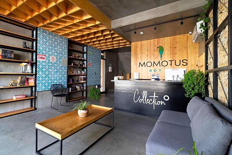 Hotel Momotus