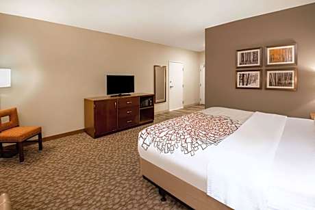 Deluxe King Suite - Non-Smoking