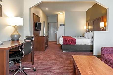 King Suite with Sofa Bed- Non Smoking