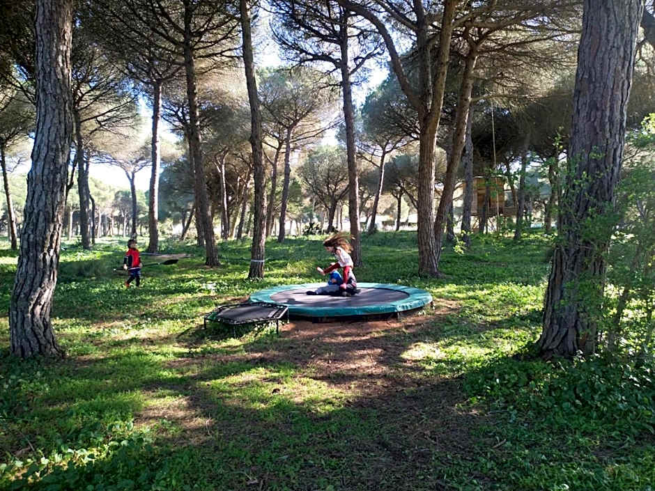 miCielo - Baumhäuser