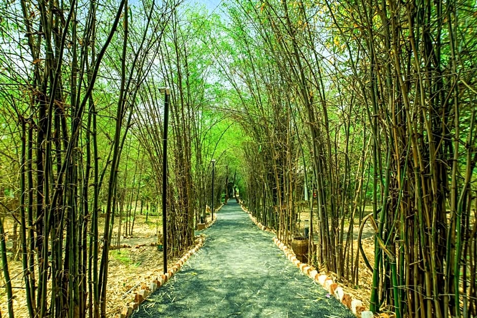 Lemon Tree Wildlife Resort  Bandhavgarh