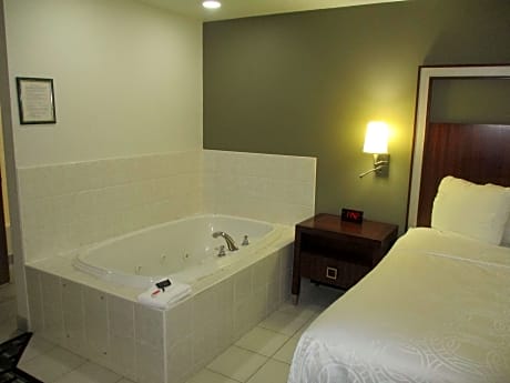 Suite-1 King Bed, Non-Smoking, Whirlpool, Sofabed, Flat Screen Television, Desk, Microwave And Refri