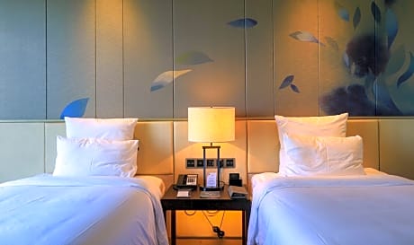 Superior Twin Room with City View