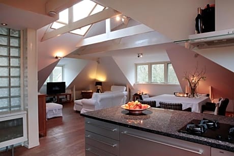 Loft aan Zee Bergen- Schoorl