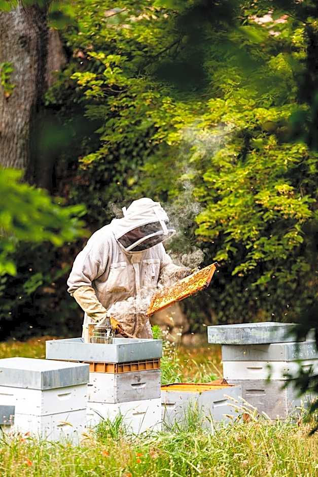 Hotel - Restaurant & Spa La Magdeleine - Mathias Dandine