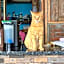 Pinokkio Bed and Breakfast