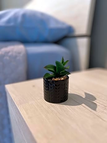 Il Buon Risveglio B&B