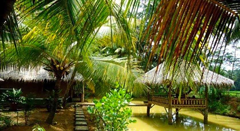 Baleku Bamboo Retreat