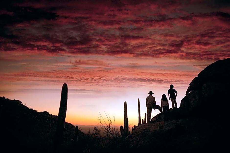 The Ritz-Carlton Dove Mountain
