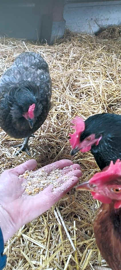 Hotel Henriettenhof Weimarer Land, Weimar-Bad Berka