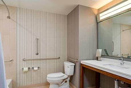 Suite, 1 Bedroom (Hearing Accessible) (1 King Bed and 1 Double Sofa Bed)