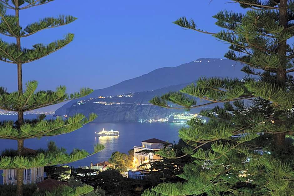 Hotel Grand Vesuvio