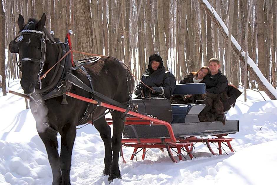 Hampton Inn - Suites by Hilton Barrie Ontario Canada