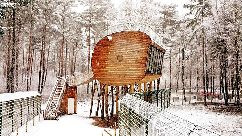 Tree Inn - Das Baumhaushotel