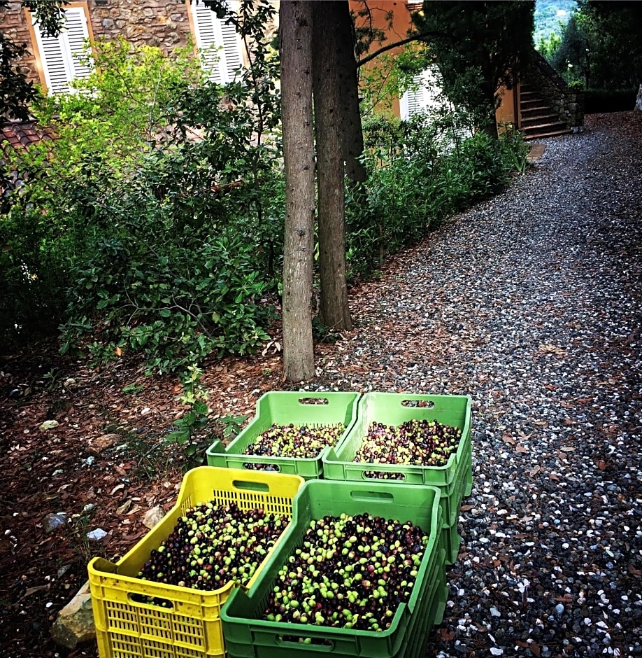 La Locanda del Barbagianni