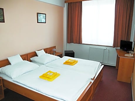 Double or Twin Room with City View