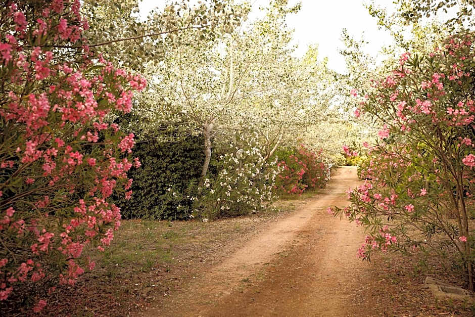 MASSERIA Le Betulle