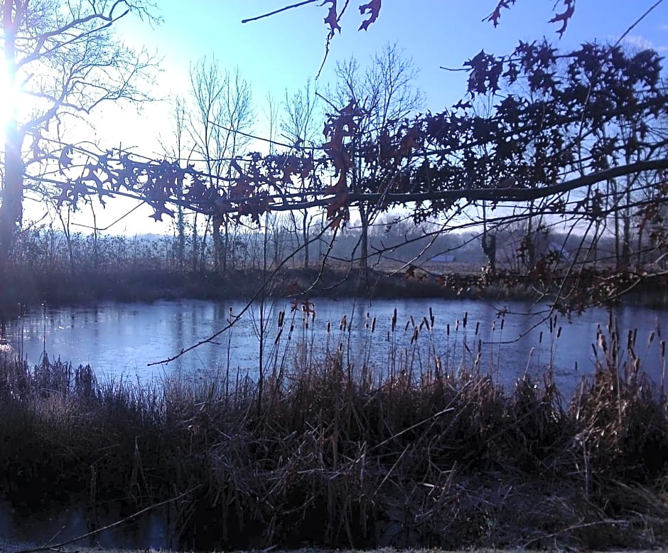 Chambres d'hôtes La Tribu