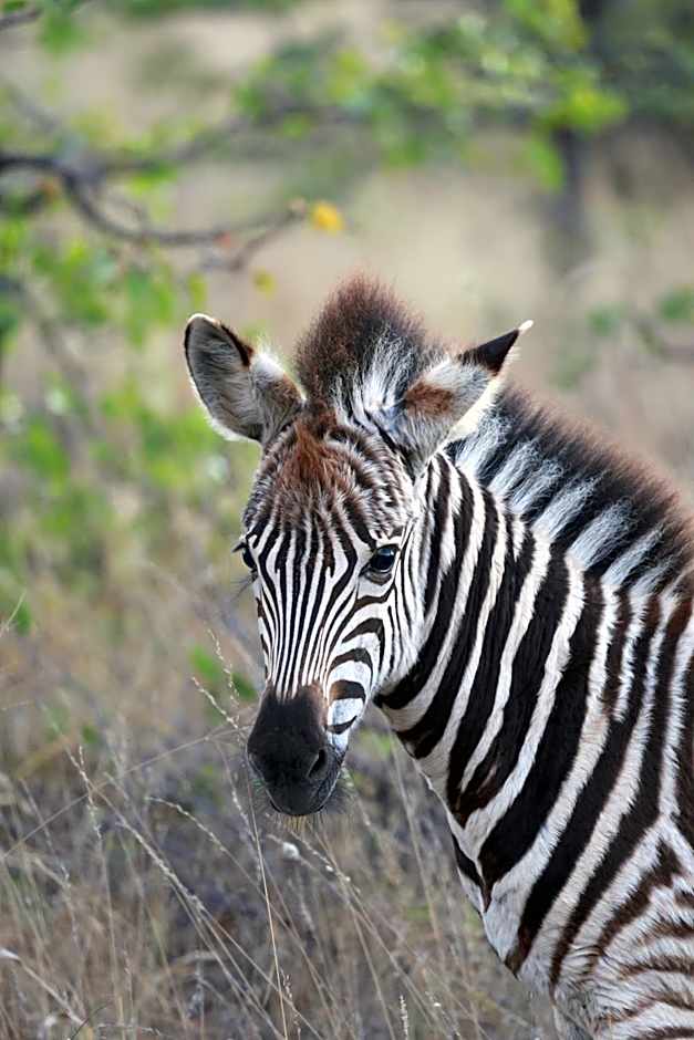 Xanatseni Private Camp