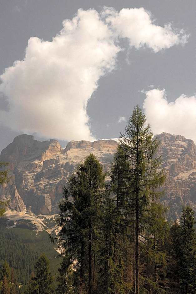 Sportony Mountain Lodges