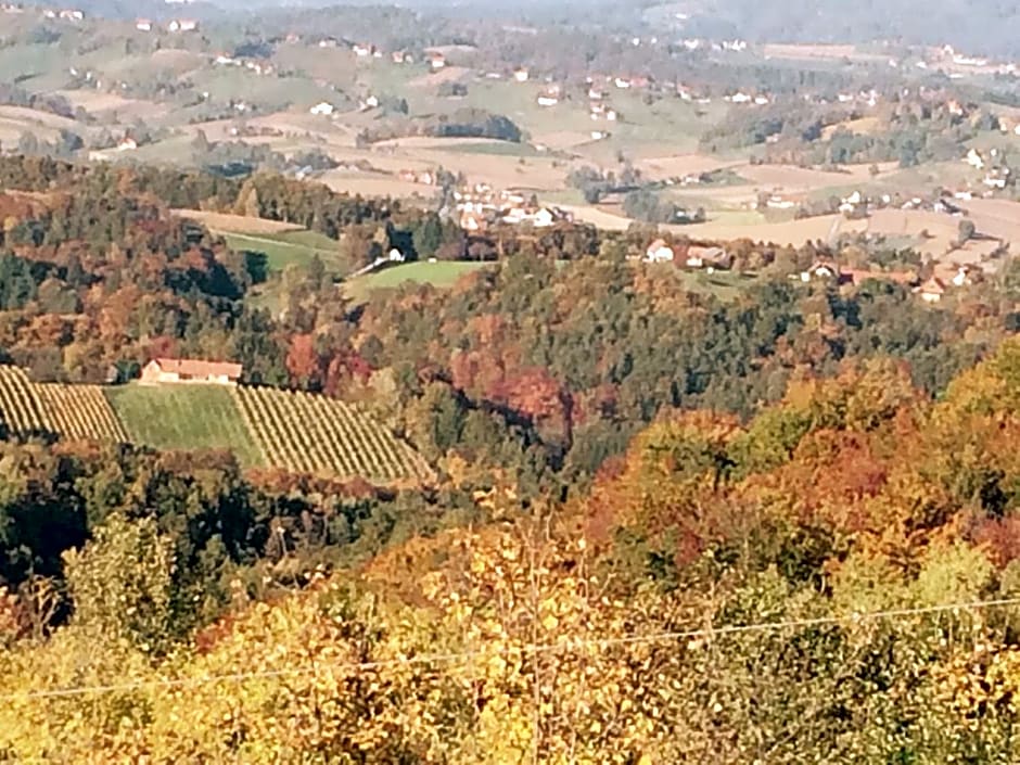 Gasthof Tischlerwirt