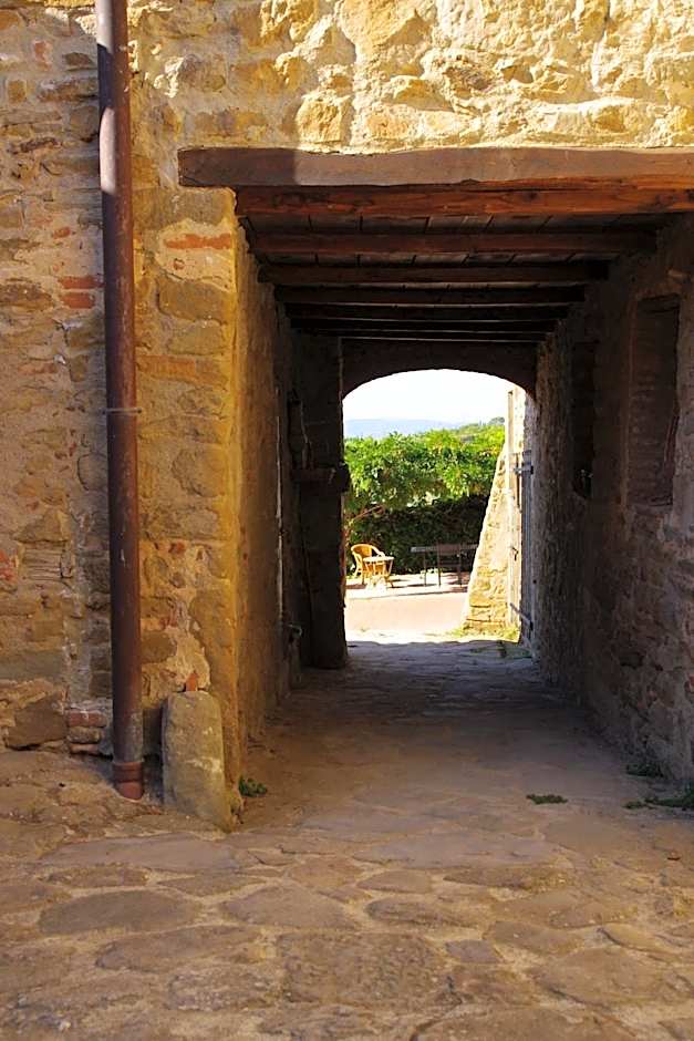 Mezzano In Chianti