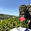 Villa il Turro