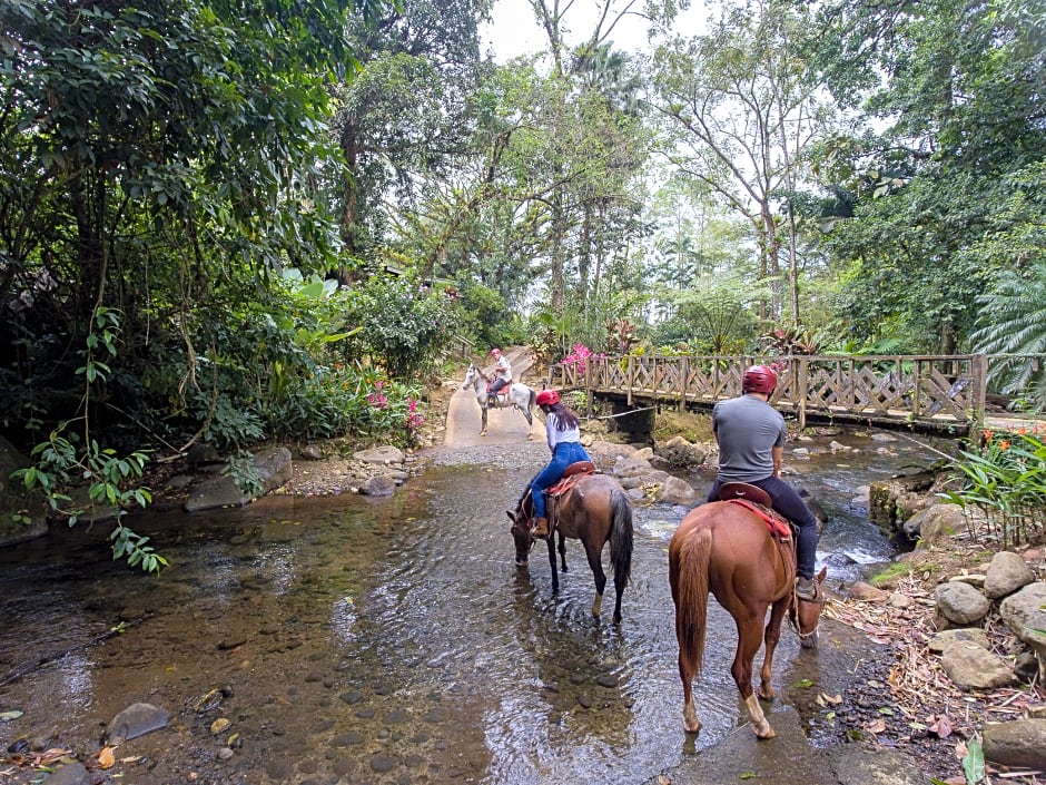 Chachagua Rainforest Hotel & Hot Springs